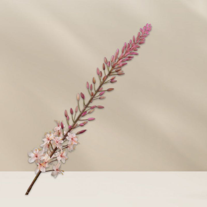 Eremurus steel crème 107 cm van Silk-ka, realistische zijdebloem met zachte kleurverlopen, verkrijgbaar bij BloomFever als losse steel.