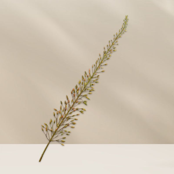 Eremurus steel groen/bruin 107 cm  Silk-ka