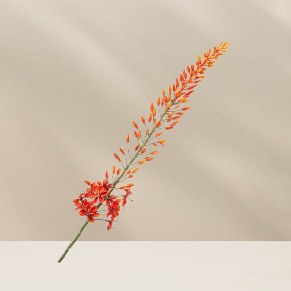 Eremurus spray oranje 108 cm, handgemaakte zijdebloem met warme kleurverlopen, verkrijgbaar bij BloomFever.