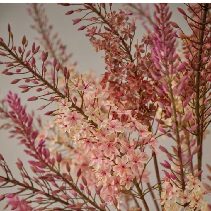 Losse eremurus stelen in diverse kleuren van het merk Silk-ka verkrijgbaar bij BloomFever